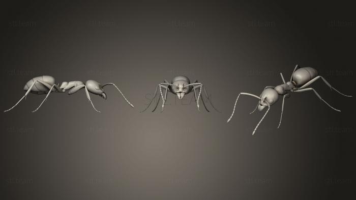 Статуэтки животных Insect beetles 141